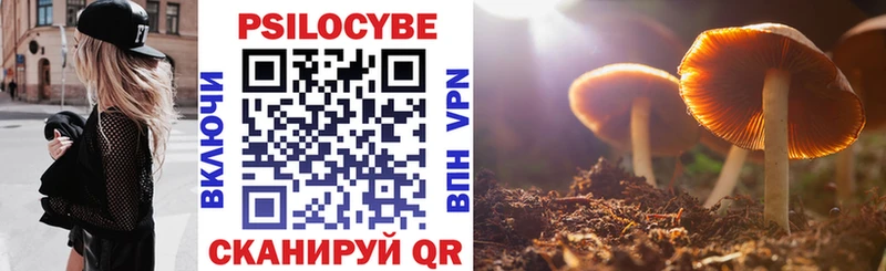 Псилоцибиновые грибы Psilocybine cubensis  Брянск 