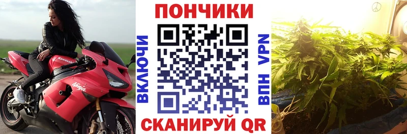 Бошки Шишки VHQ Брянск